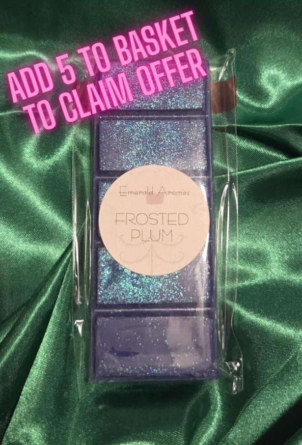 Frosted Plum Christmas Large Wax Melt 50g
