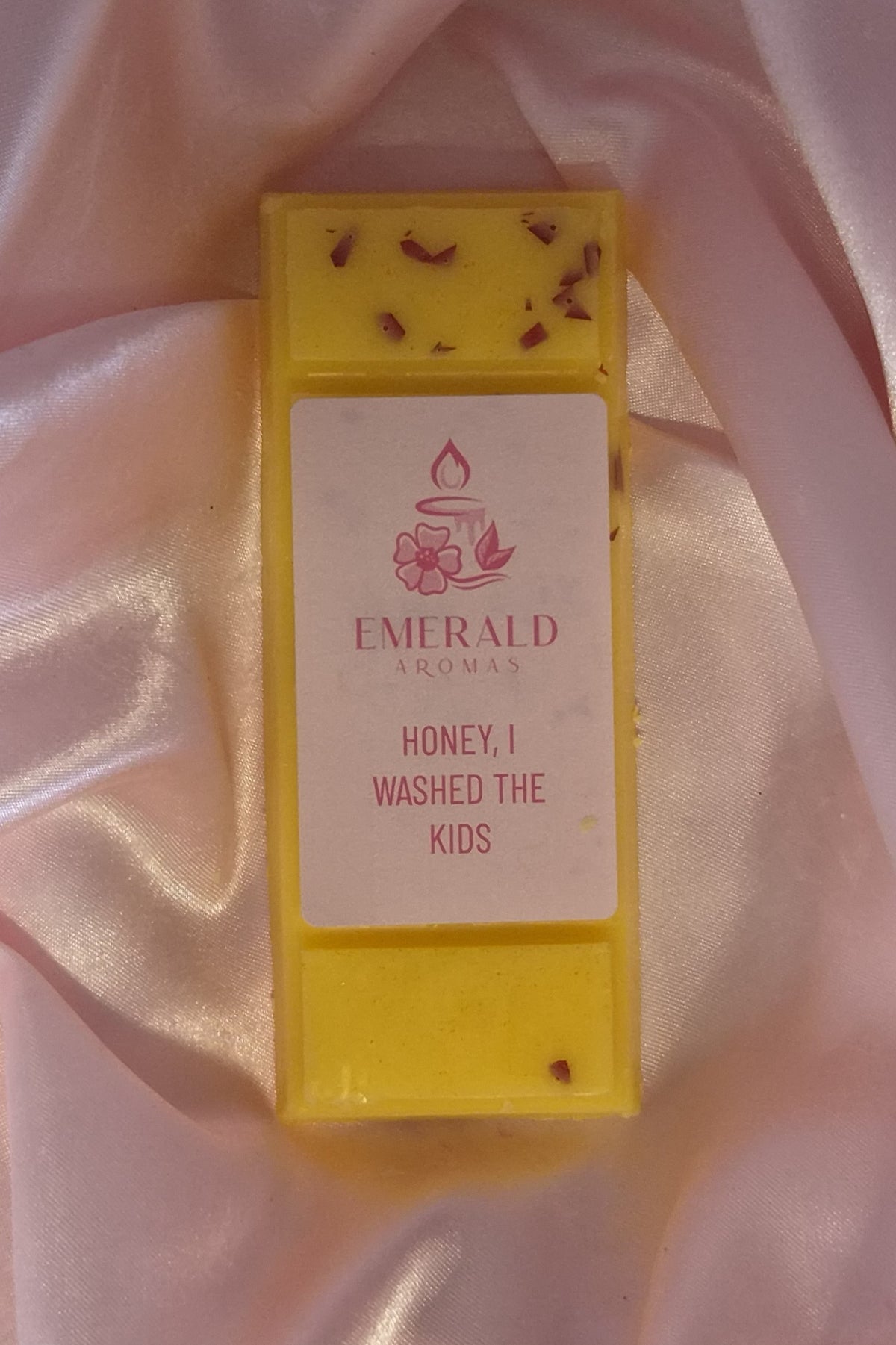 Honey, I Washed The Kids Lush Inspired Large Wax Melt 50g