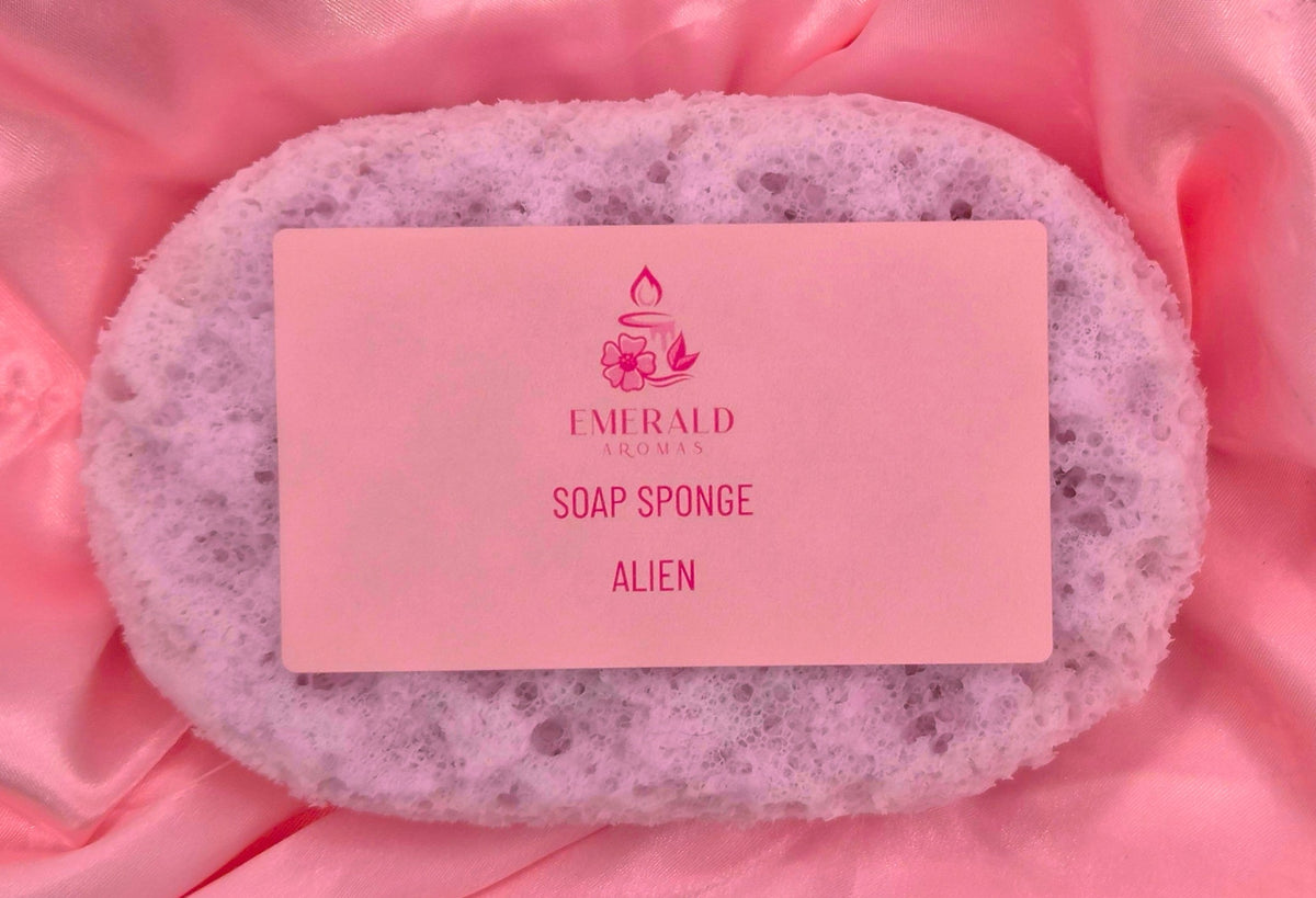 Alien Exfoliating Soap Sponge Large 150g