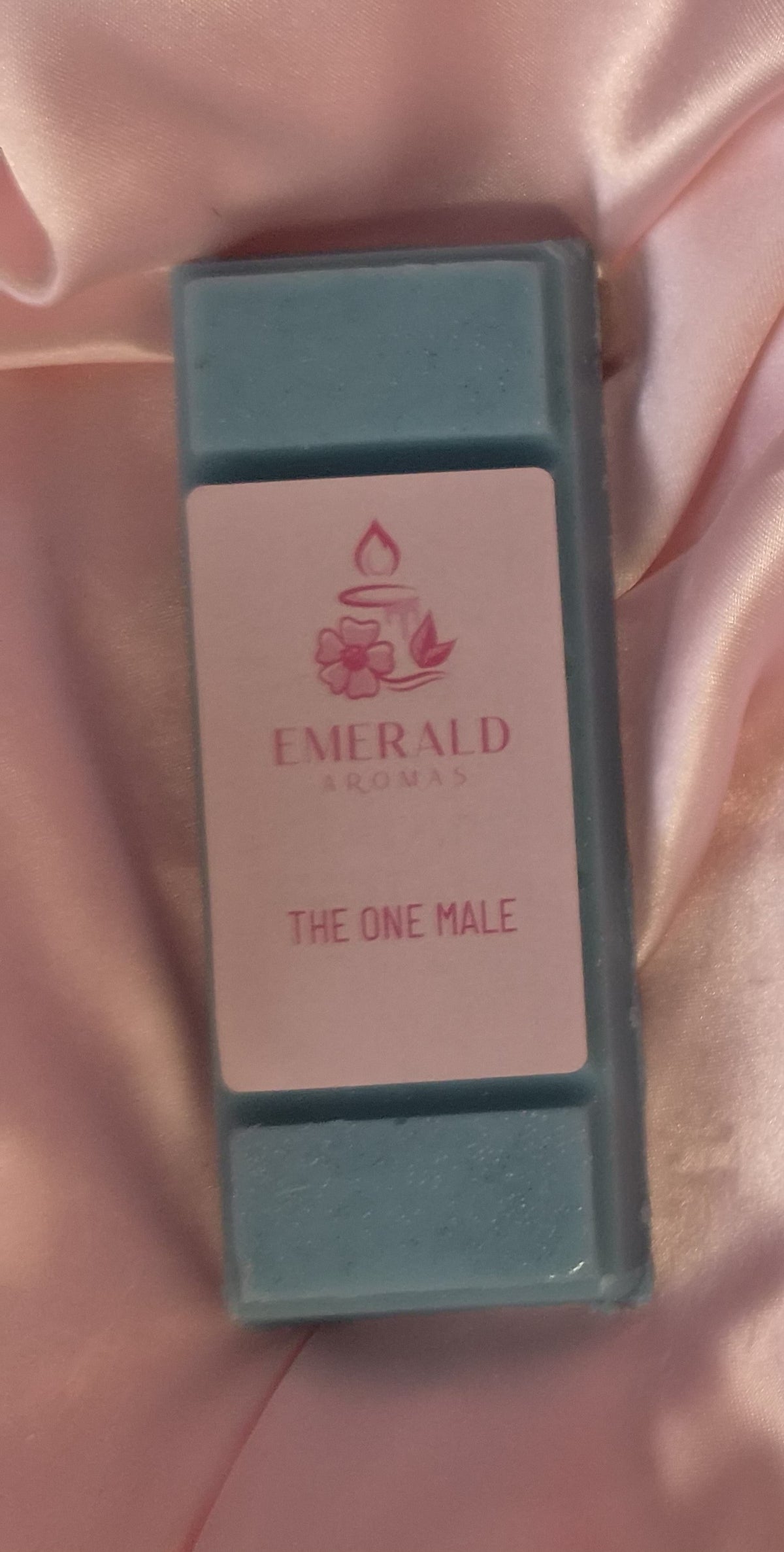 The One Male Inspired Large Wax Melt 50g