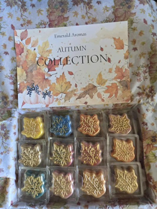 Limited Edition Wax Melts Sample Box Summer Scents Highly Scented