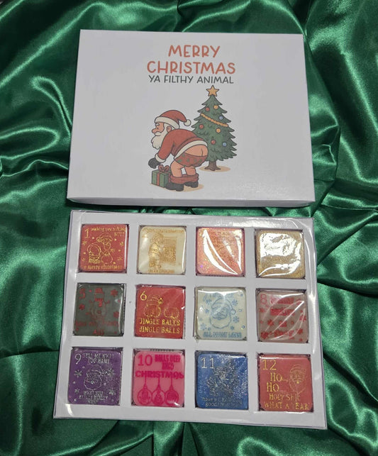 12 Day Christmas Advent Wax Melt Calendar Humorous Fun Rude Limited Edition