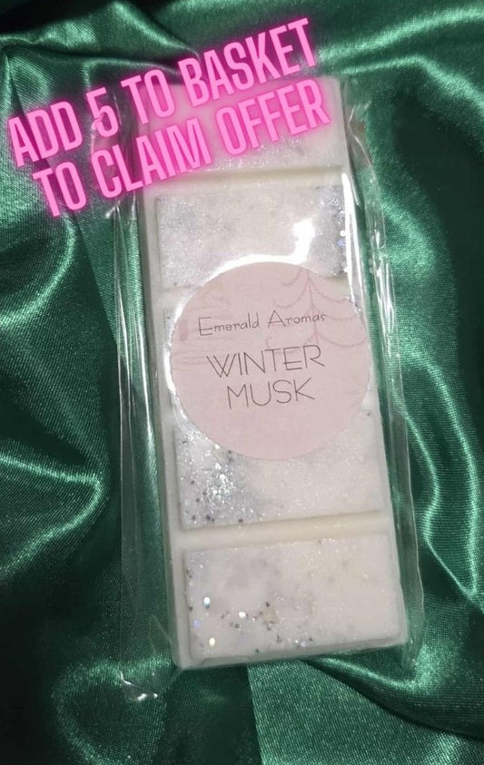 Winter Musk Christmas Large Wax Melt 50g