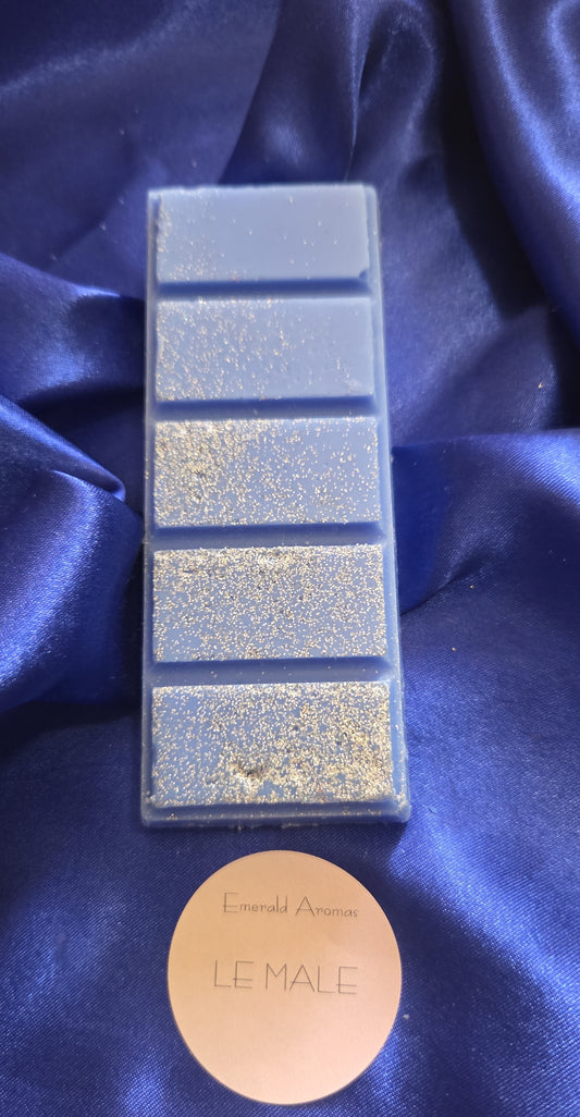 Le Male JPG Inspired Large Wax Melt 50g