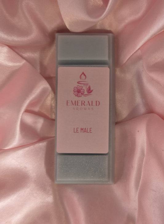 Le Male JPG Inspired Large Wax Melt 50g