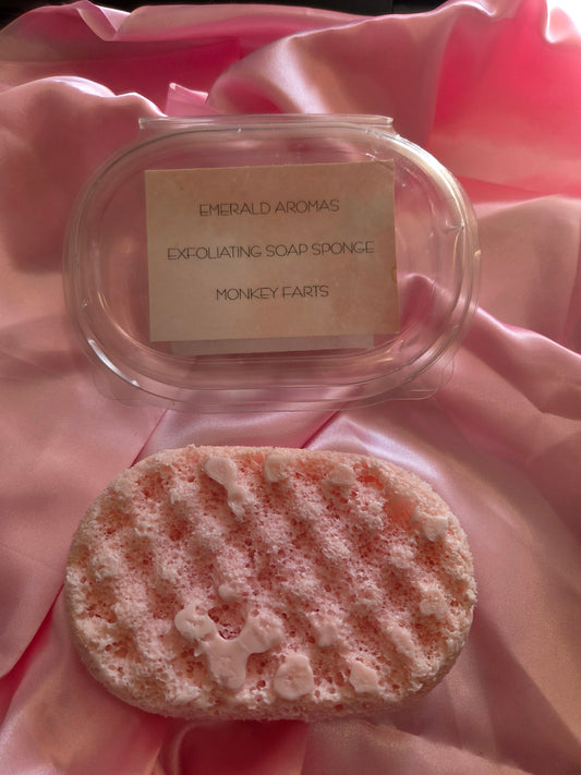 Monkey Farts Soap Songe